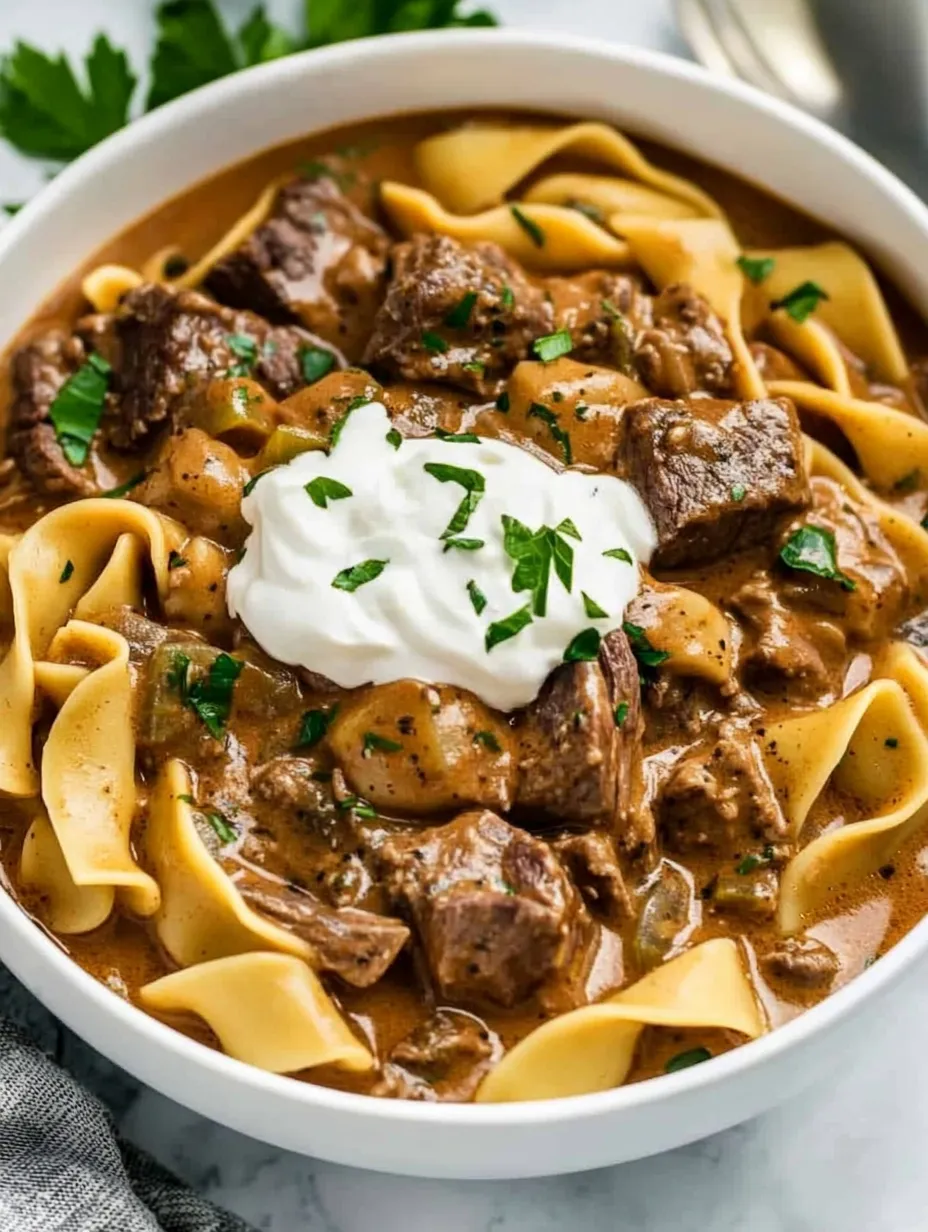 A bowl of beef stew with noodles and white sauce.