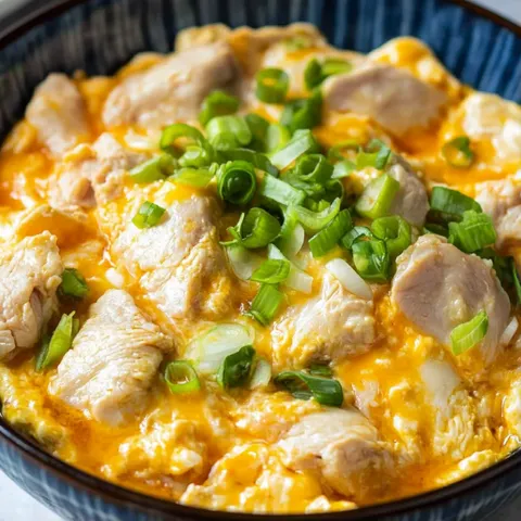 A bowl of food with green onions and chicken.