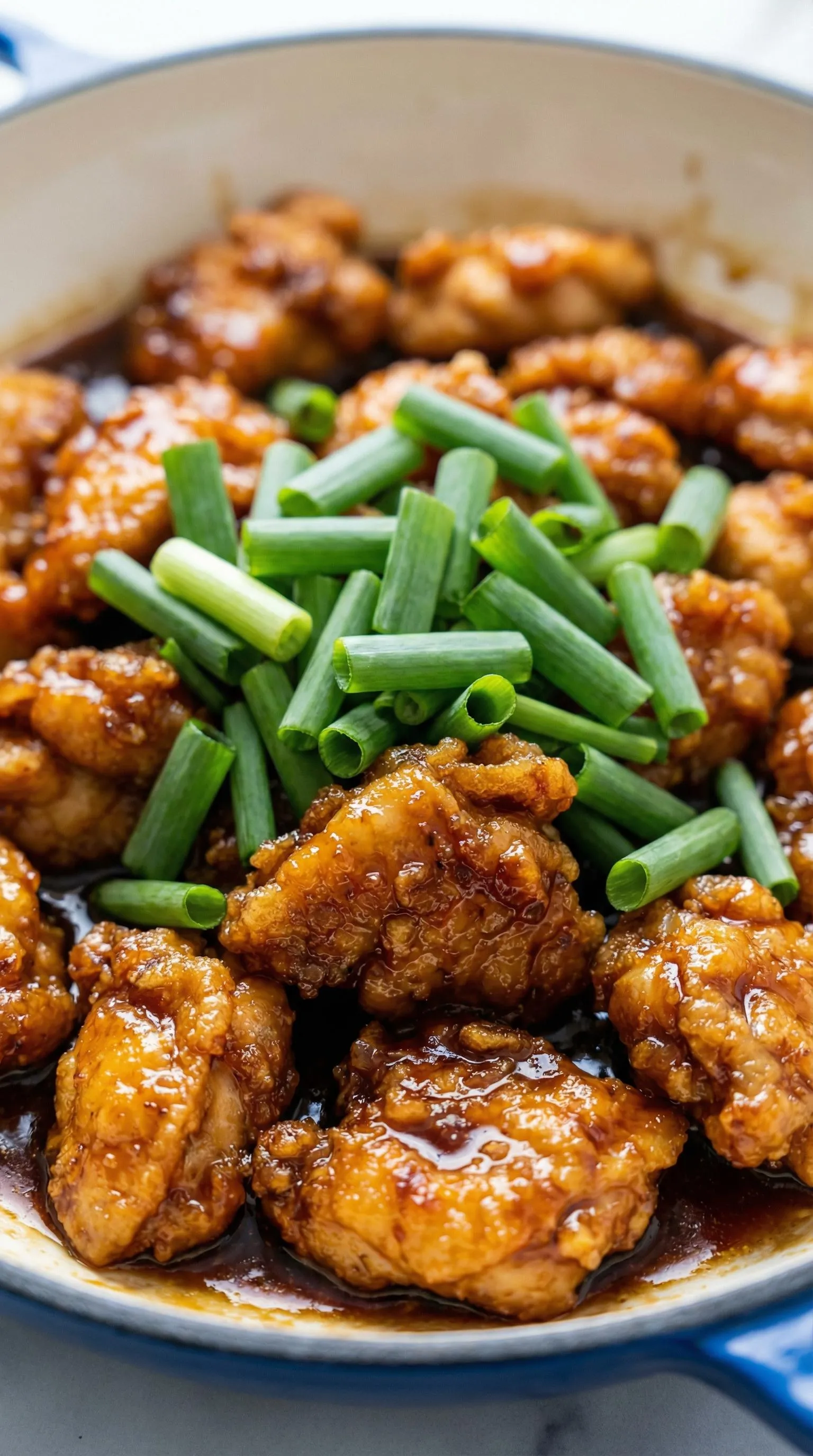 A plate of chicken with green onions on top.