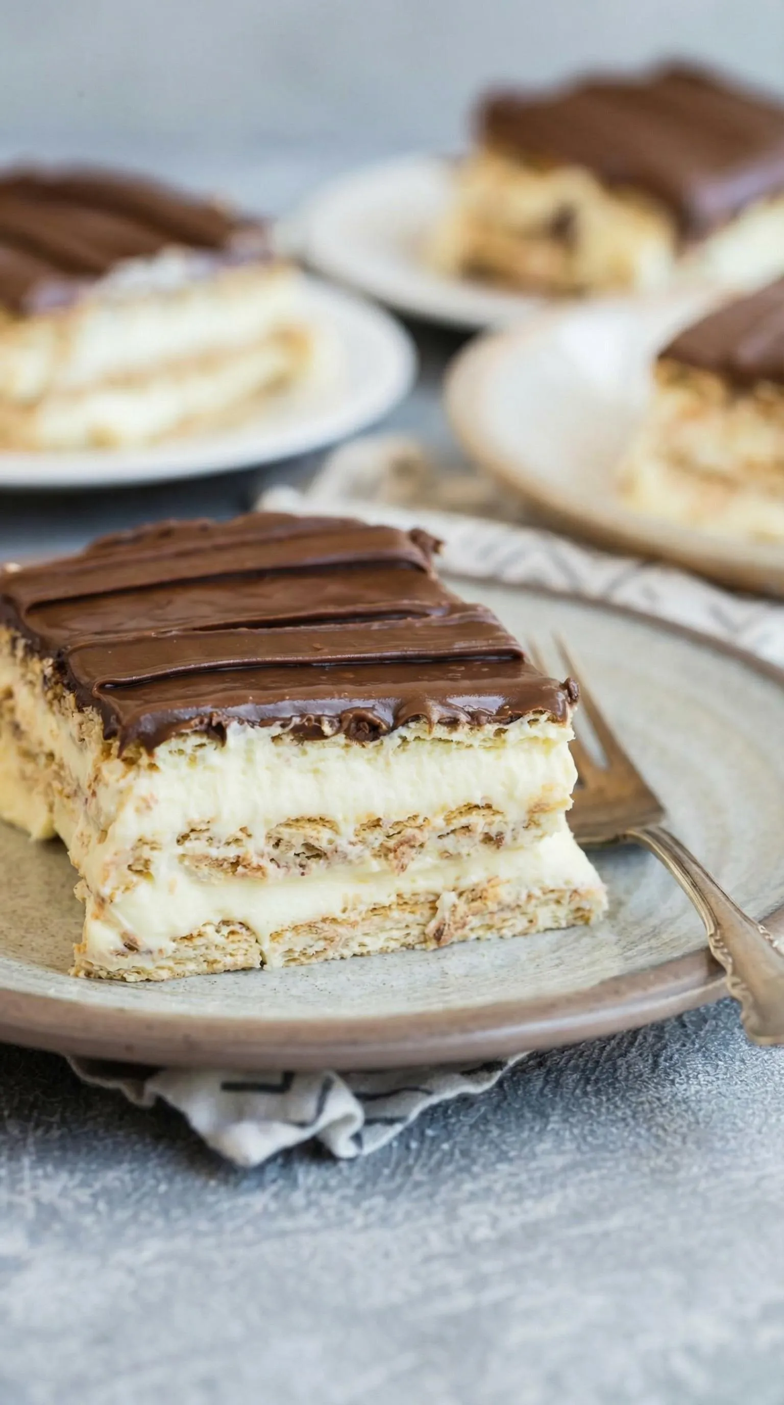 A slice of chocolate cake.