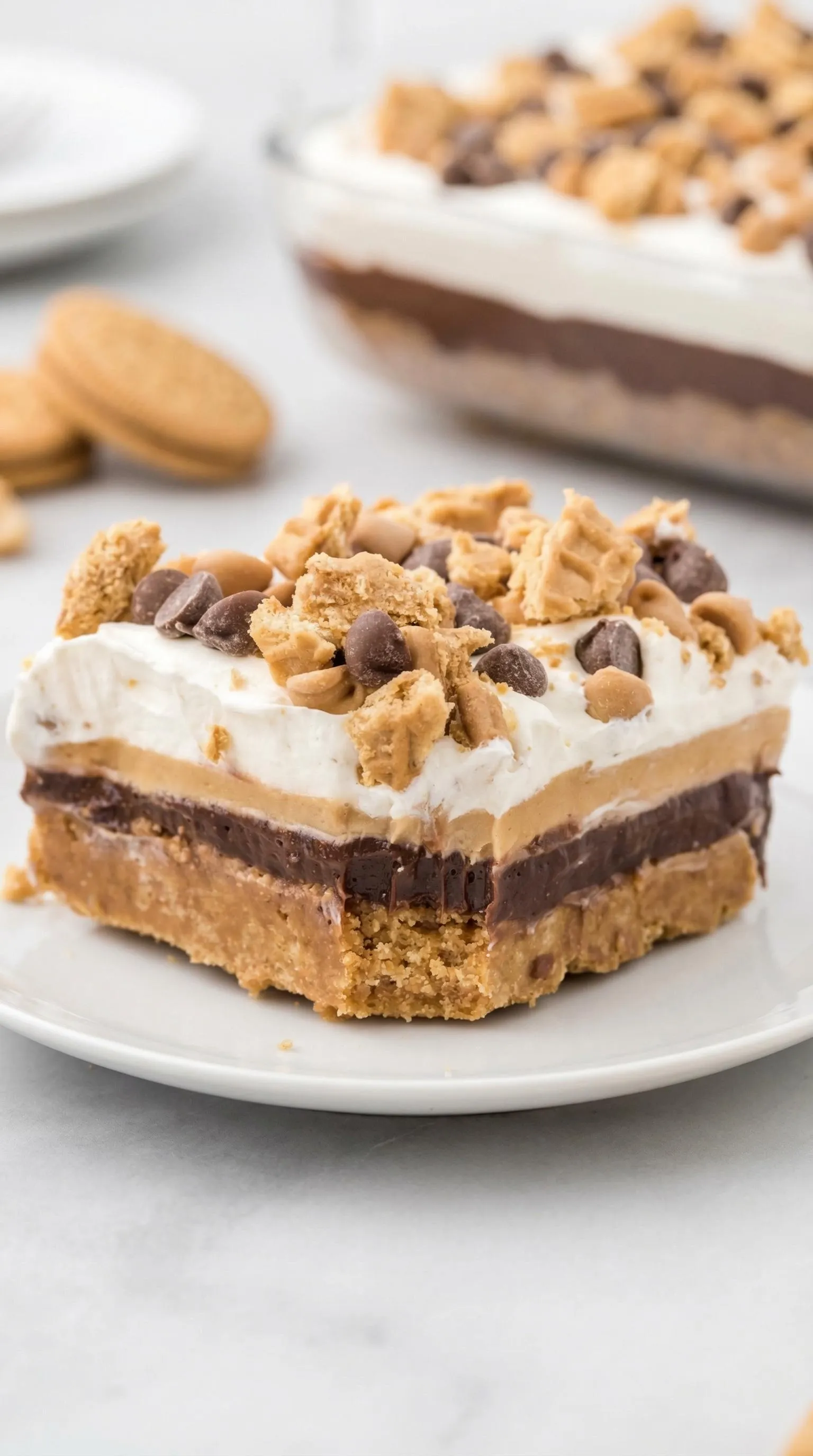 A piece of peanut butter and chocolate cake.