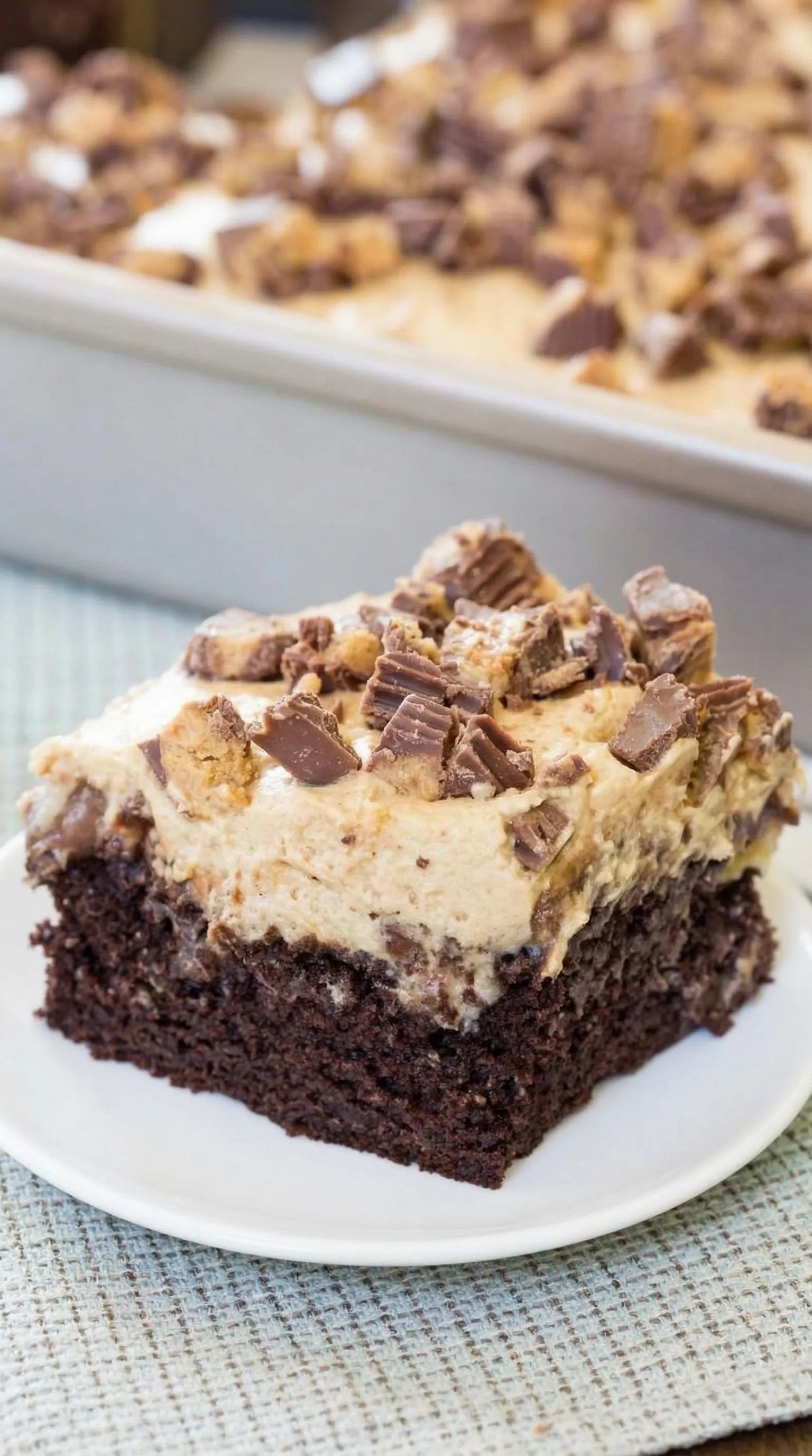 A slice of chocolate cake with chocolate chips.