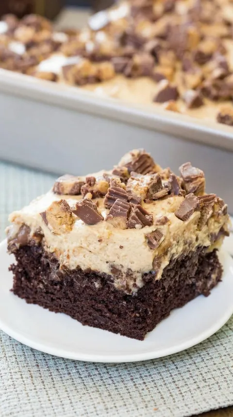 A slice of chocolate cake with chocolate chips.