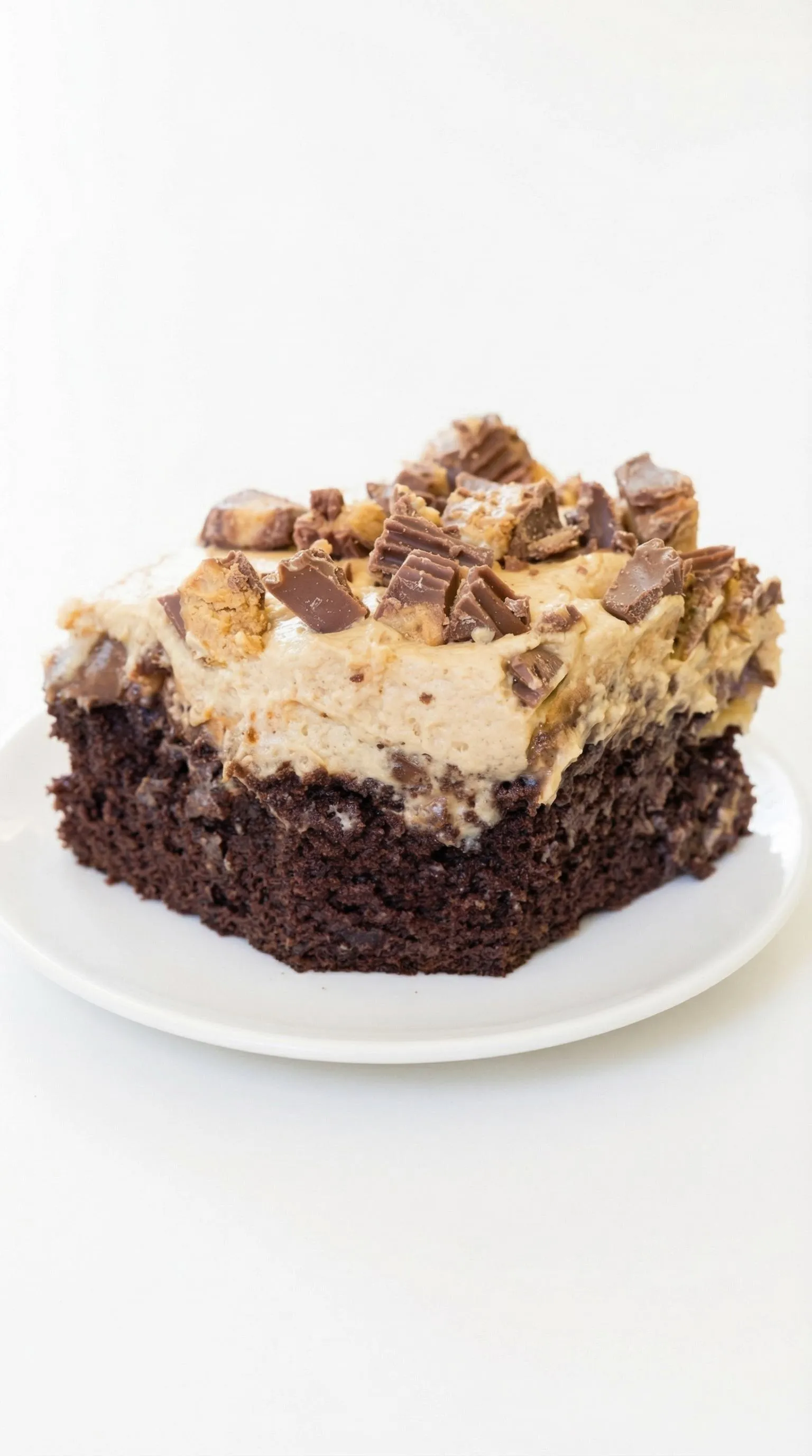 A chocolate cake with chocolate chips and peanut butter.