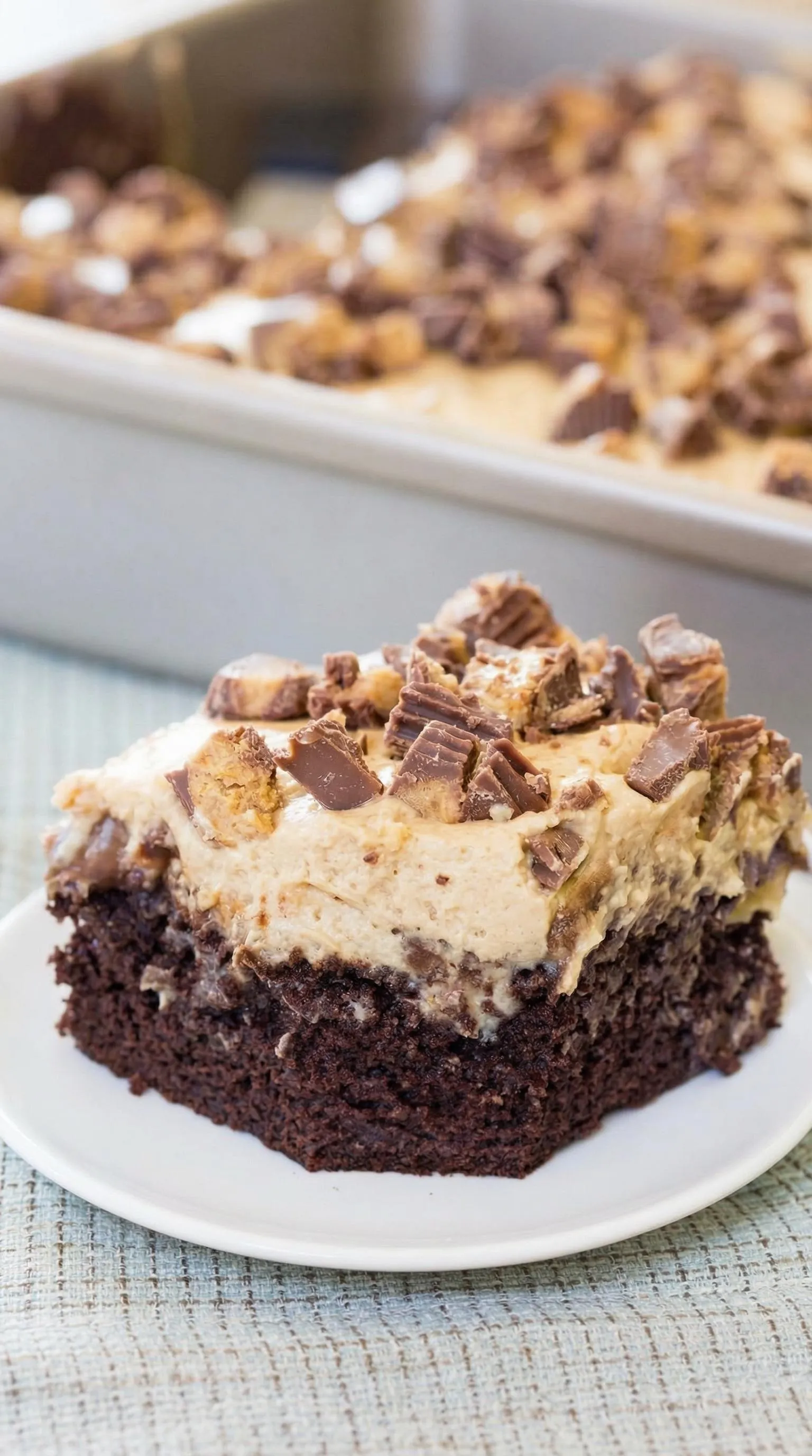 A slice of chocolate cake with chocolate chips.